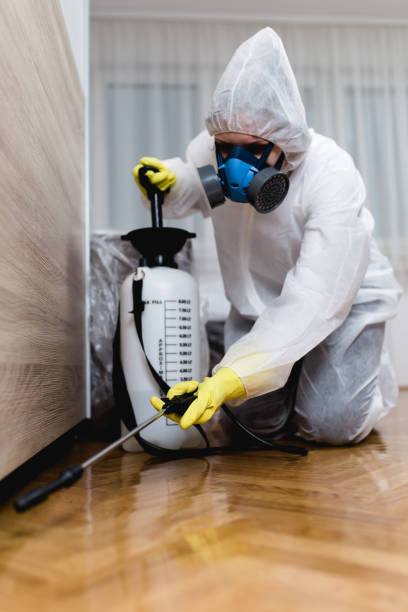 Best Residential Pest Control  in Pine Manor, FL